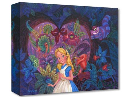 Disney Treasures: In The Heart Of Wonderland Sale