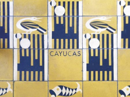 CAYUCAS - CAYUCOS   SWIMSUIT (VINYL) Online Sale