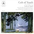 CULT OF YOUTH - CULT OF YOUTH (VINYL) on Sale