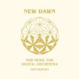 DON SLEPIAN - NEW DAWN (VINYL) Discount